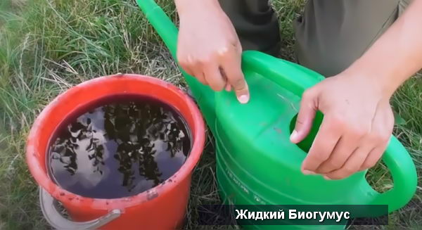 ВермиФермер: разведение червей, биогумус и вермикомпост