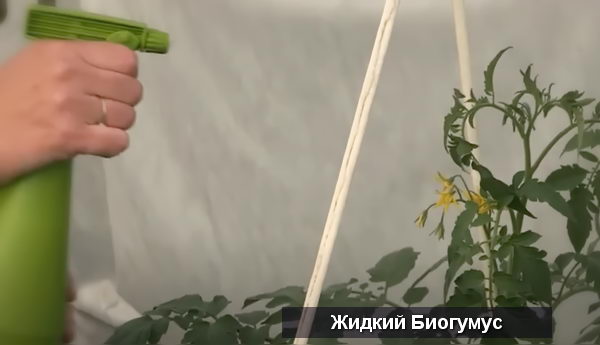 ВермиФермер: разведение червей, биогумус и вермикомпост